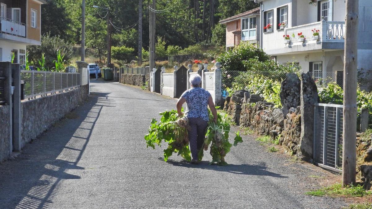 Una mujer carga cultivos de su huerta en el concello ourensano de Boborás.