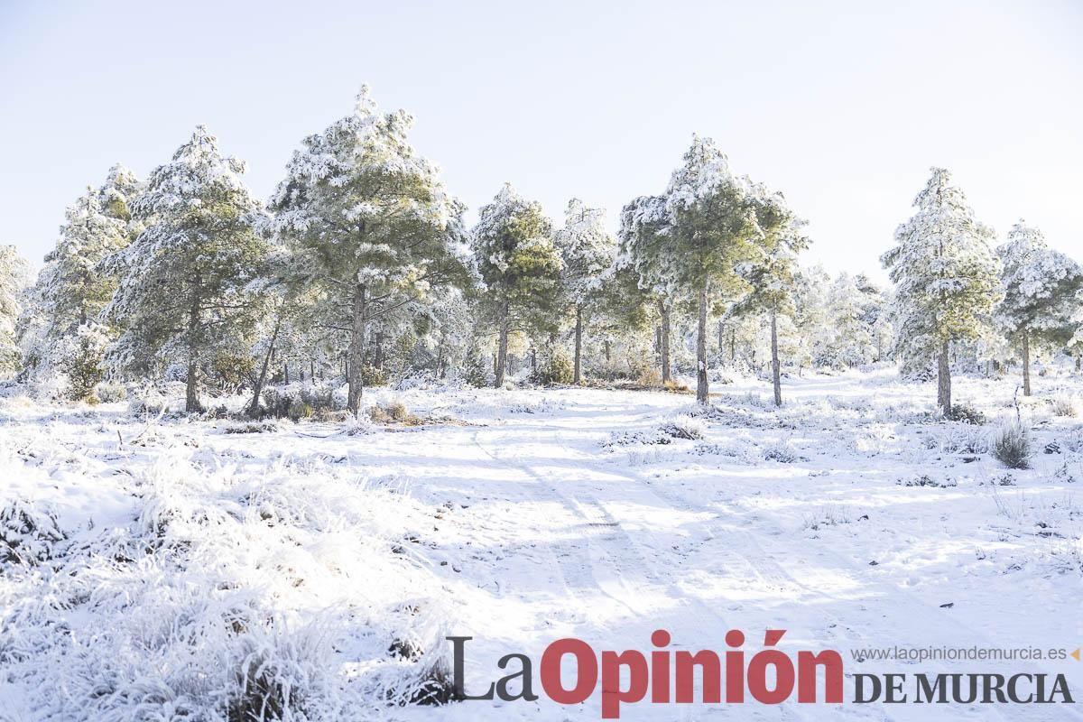 Descubre dónde queda acumulación de nieve en la Región de Murcia