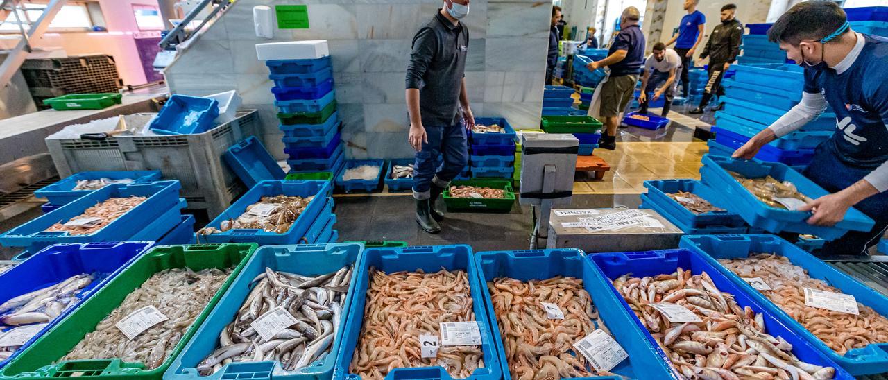 Subasta de pescado en las instalaciones de la lonja del puerto de la Vila Joiosa.