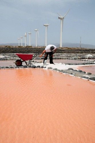 Reportaje en las Salinas de Tenefe en Pozo Izquierdo