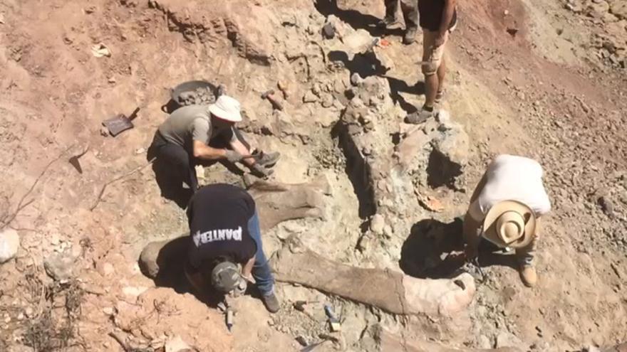 Descubren en Morella uno de los yacimientos de dinosaurios más relevantes de Europa