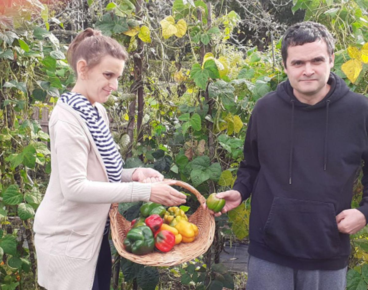 Una huerta ecológica y un gallinero, algunas de las propuestas.