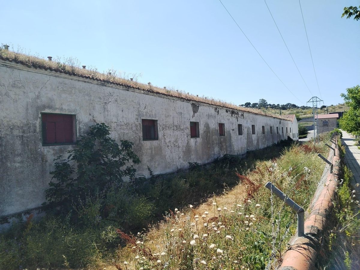 Plasencia baraja comprar las antiguas naves de Tabacalera.