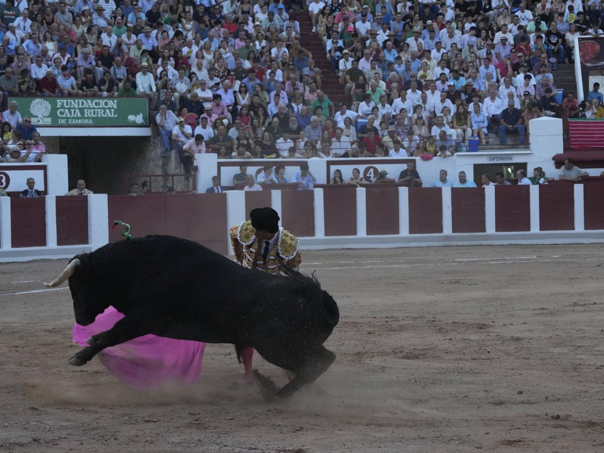 Las mejores imágenes de la feria taurina de San Pedro en Zamora.