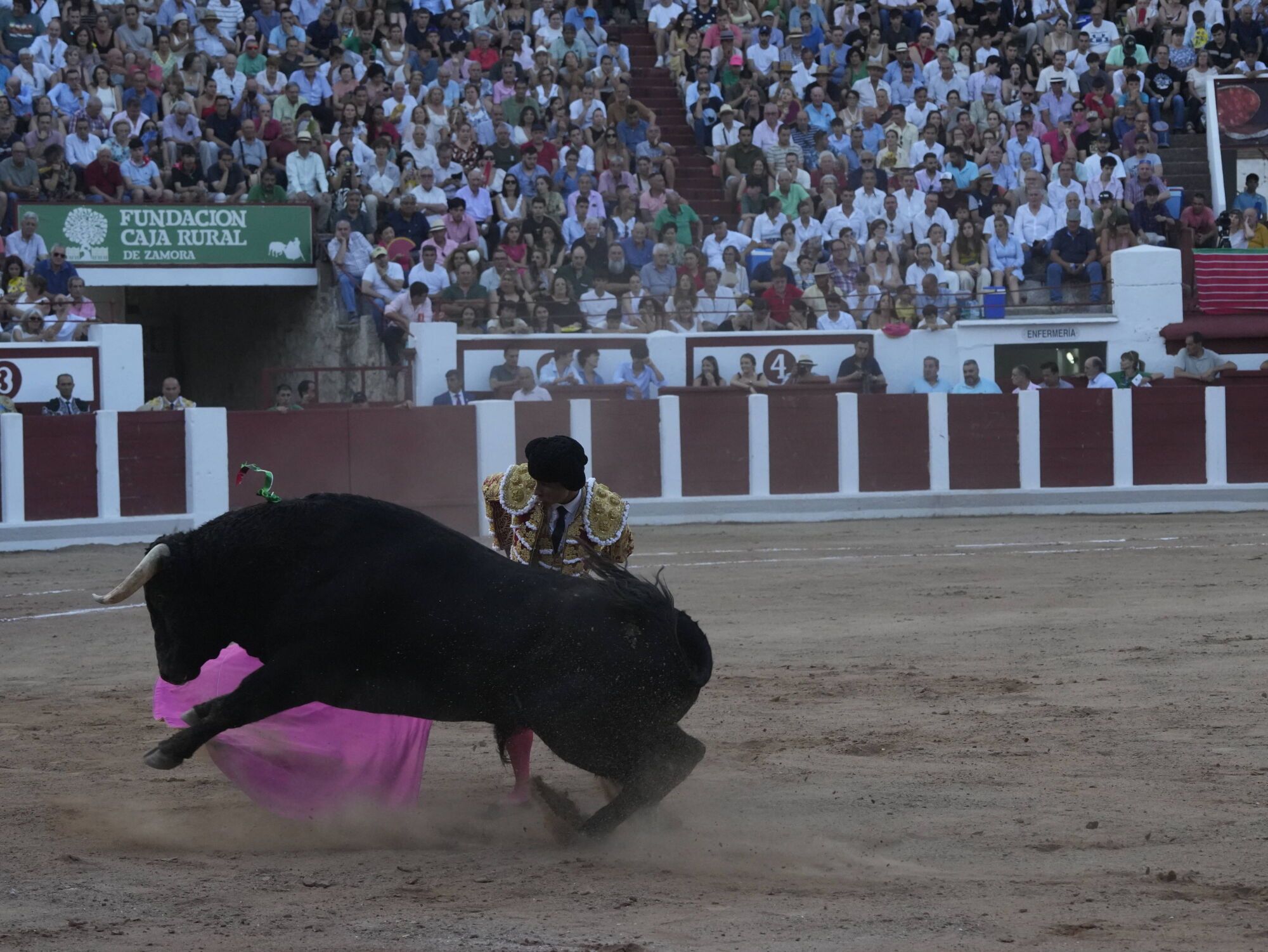 Las mejores imágenes de la feria taurina de San Pedro en Zamora.