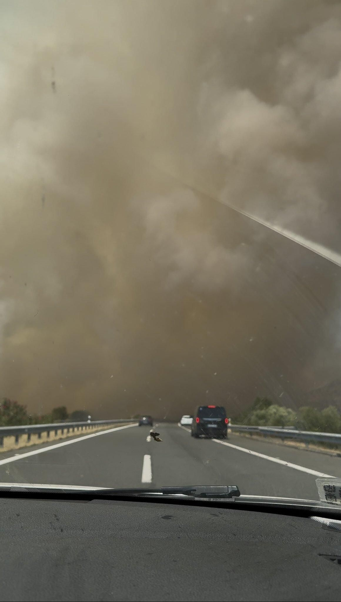 Un incendio forestal en Cáceres corta la A-66