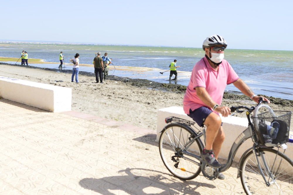 Limpieza del Mar Menor en Los Alcázares