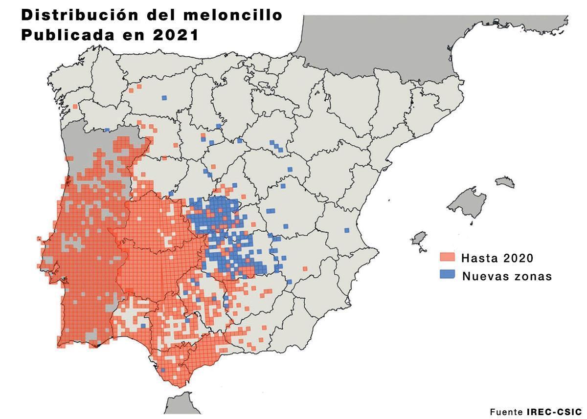 Distribución del meloncillo en España y Portugal.