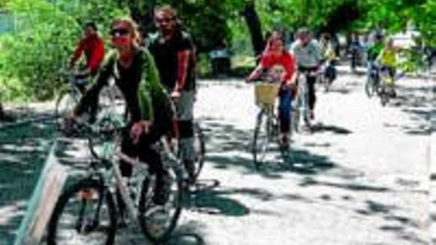 Colectivos ciclistas piden un carril bici en la avenida Constitución