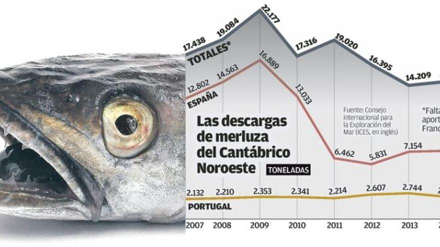 Las descargas de merluza ibérica bajaron un 37% en diez años pese a subir el &quot;stock&quot;