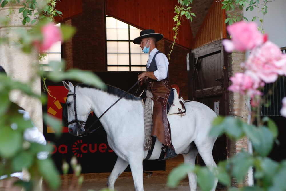 Vuelve a Caballerizas el espectáculo de Córdoba Ecuestre