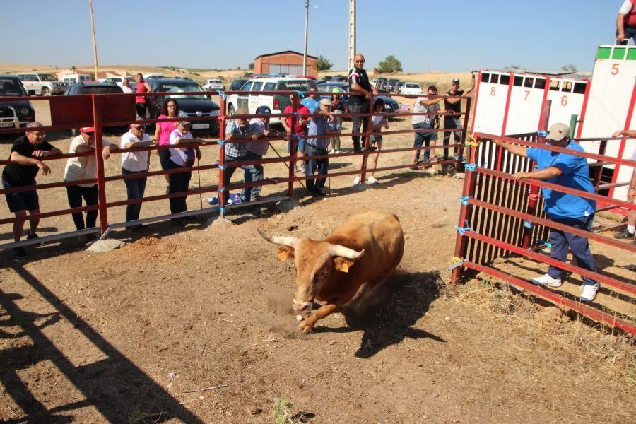 Encierro El Maderal