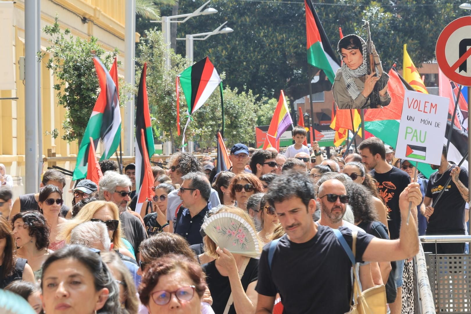 Manifestación a favor del pueblo palestino y la paz en Castellón