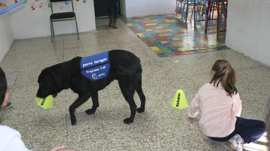 Daniela, de 6 años, y el perro Sirius en un aula del colegio público Palma de Mallorca en Torremolinos.