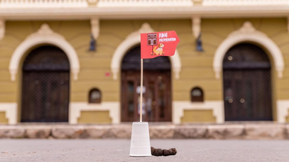 Campaña del ADN canino Paterna.