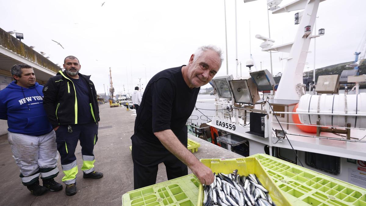 Adrià, ayer, en el muelle pesquero de Avilés, durante la descarga de bocarte.