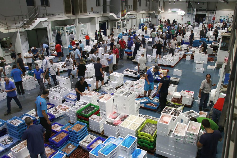 Así es un día de trabajo en la pescadería de Mercamálaga