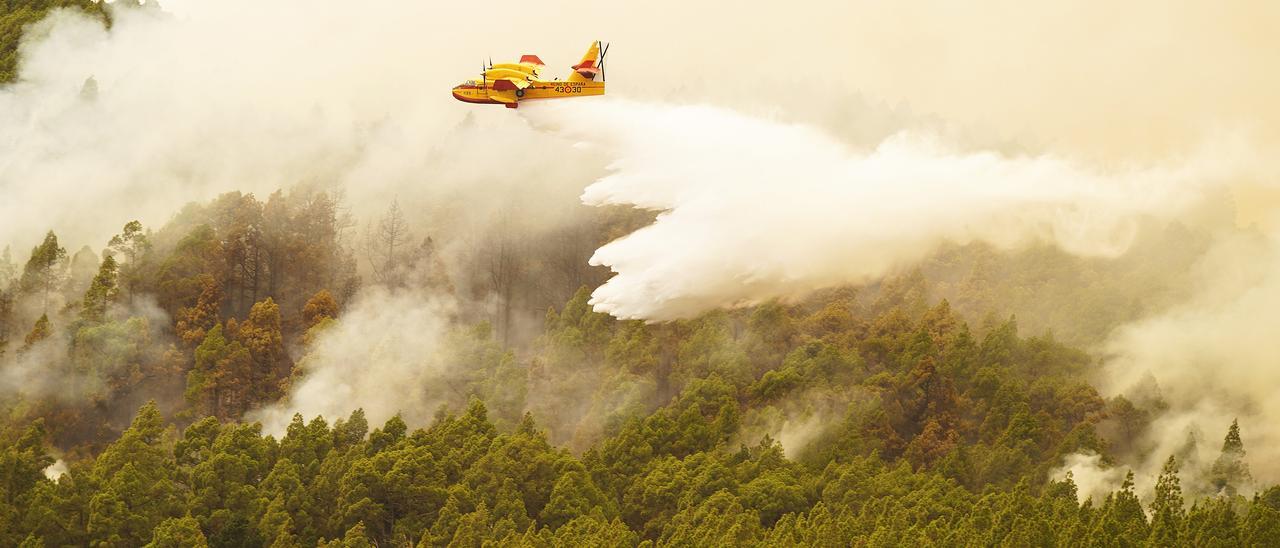 Vídeo: Médios áereos y terrestre luchan contra el incendio de Tenerife en Güímar / Imagen: Un bombero sale del humo durante el incendio de Tenerife