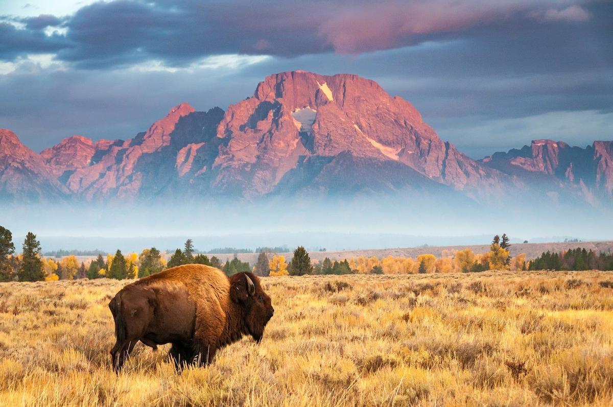 Wyoming, Estados Unidos