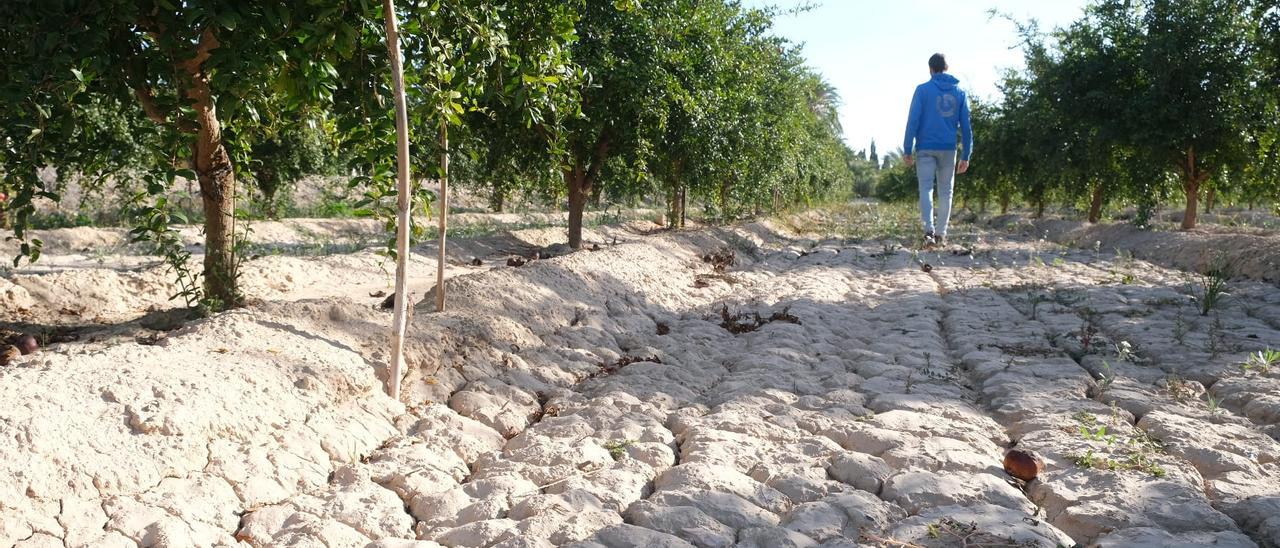La falta de agua de calidad y buen precio tiene en jaque a la agricultura de la provincia