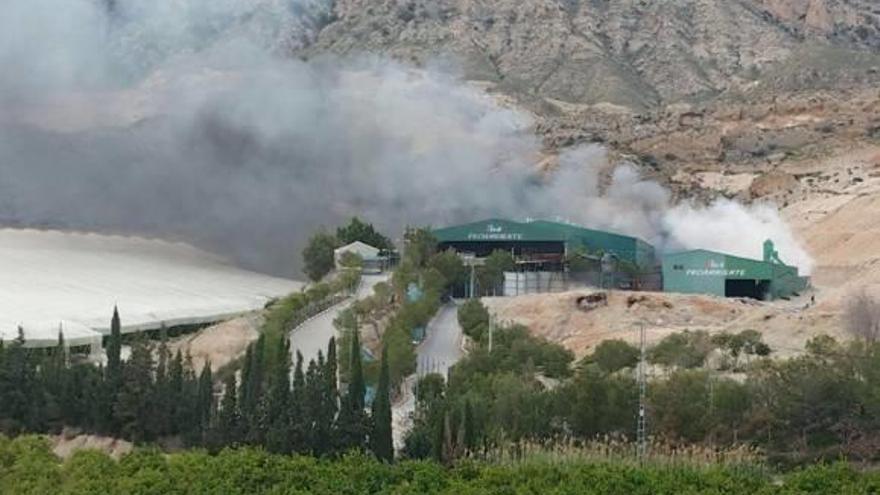 Una imagen del incendio facilitada ayer por Vertivega al periódico.