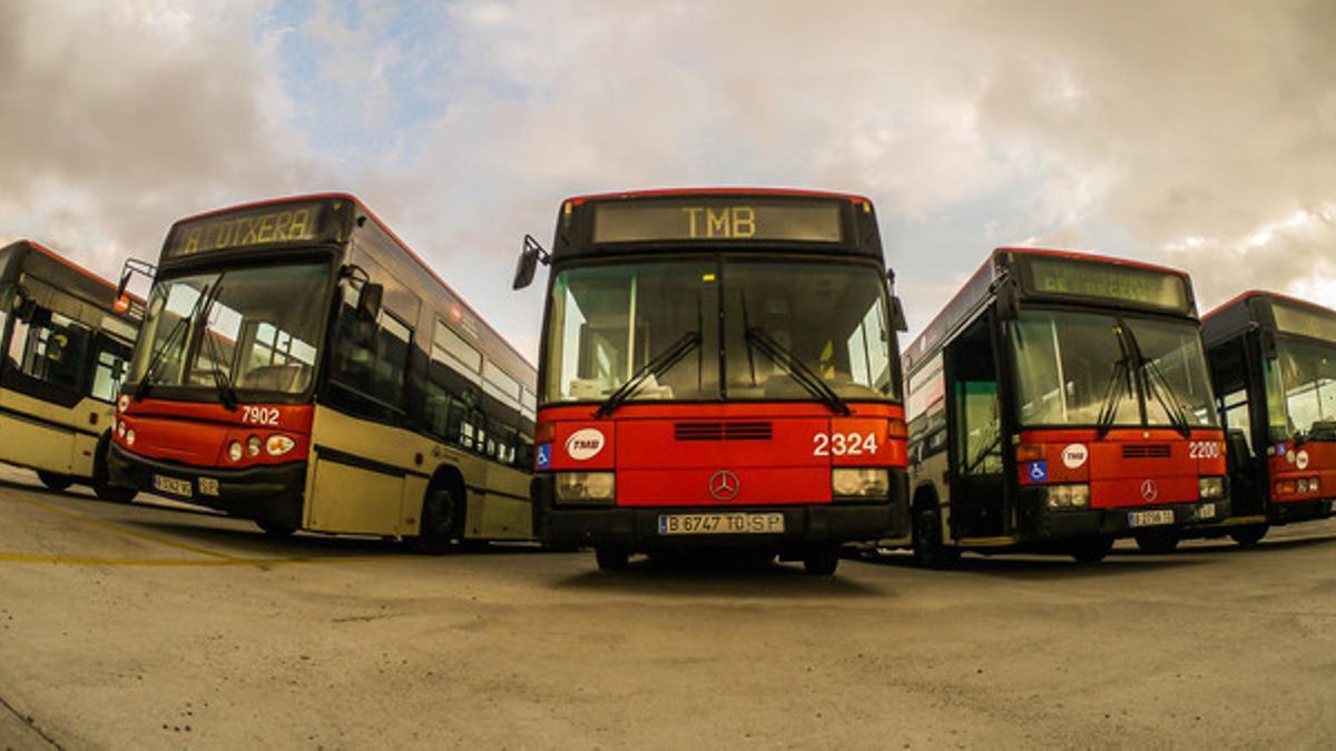 Los buses que el AMB y TMB han cedido a Gambia, antes de partir hacia el continente africano.