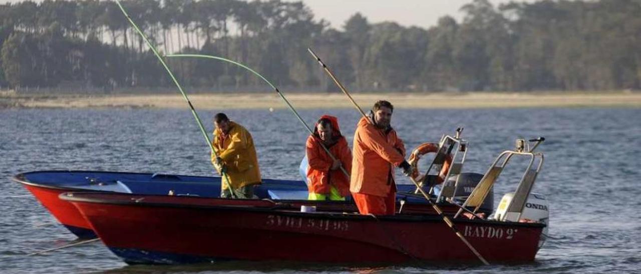 Embarcaciones en uno de los bancos marisqueros de la ría de Arousa. // Noé Parga