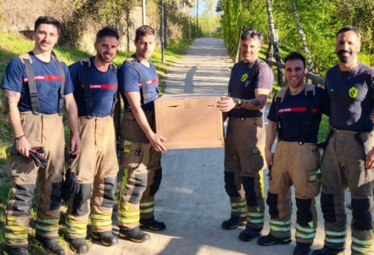 Bomberos que participaron en esta intervención, con la caja en la que trasladaron al río Miño a la mamá pata y sus ocho crías.