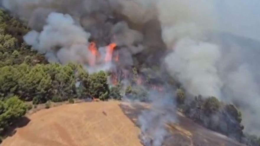 Vídeo | Un incendi forestal afecta una àrea forestal a Sentmenat