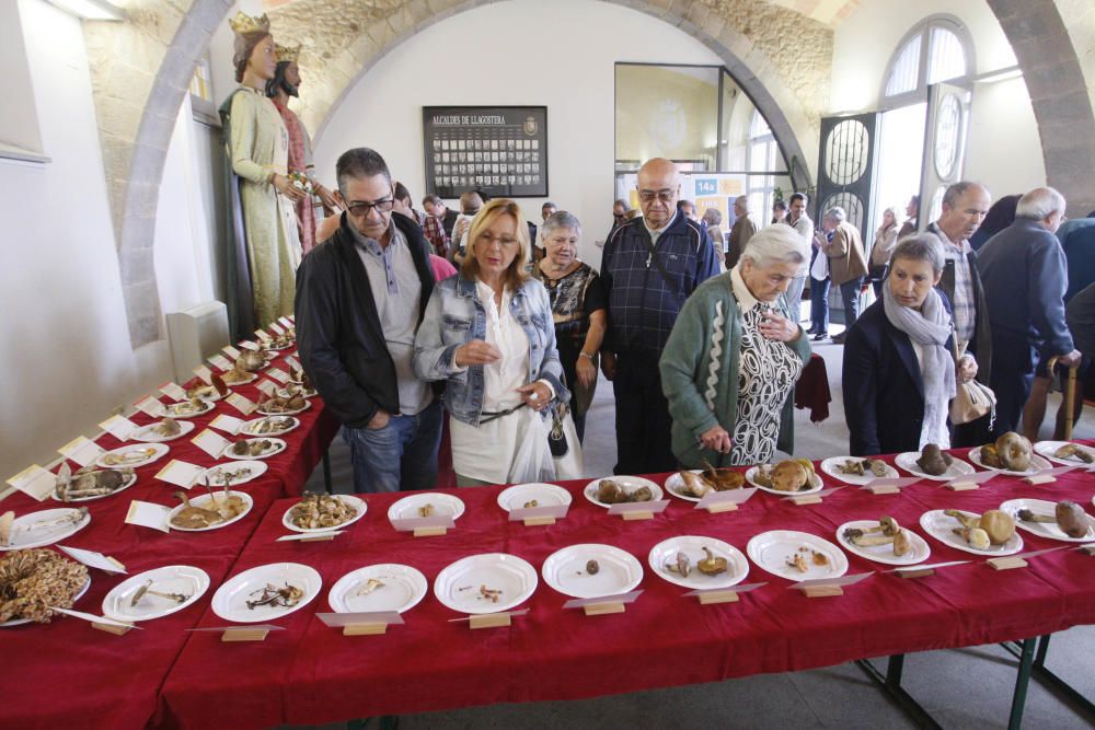 Fira del bolet de Llagostera