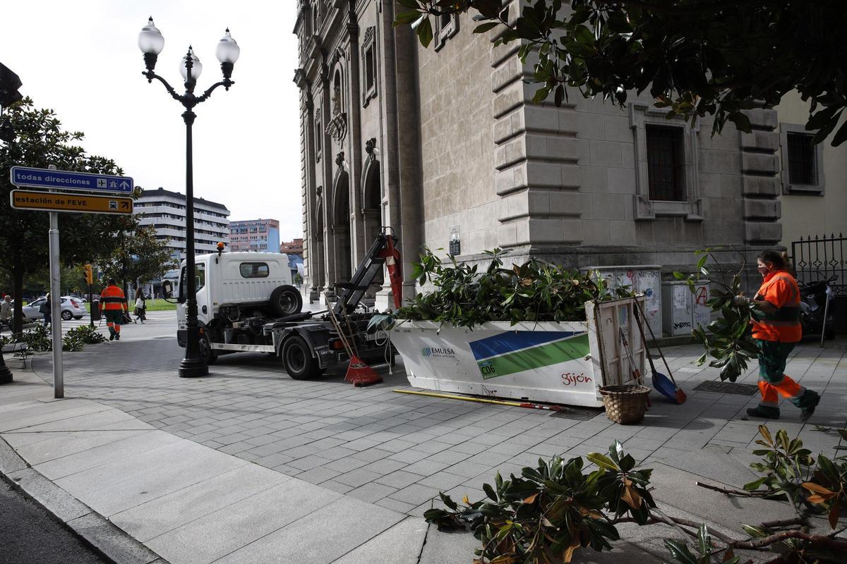 Personal de Emulsa poda árboles en la calle de Álvarez Garaya