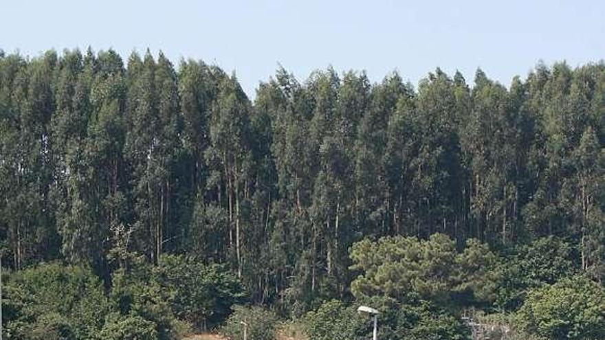 Las instalaciones del polígono de Falmuria, en Prendes, ayer.