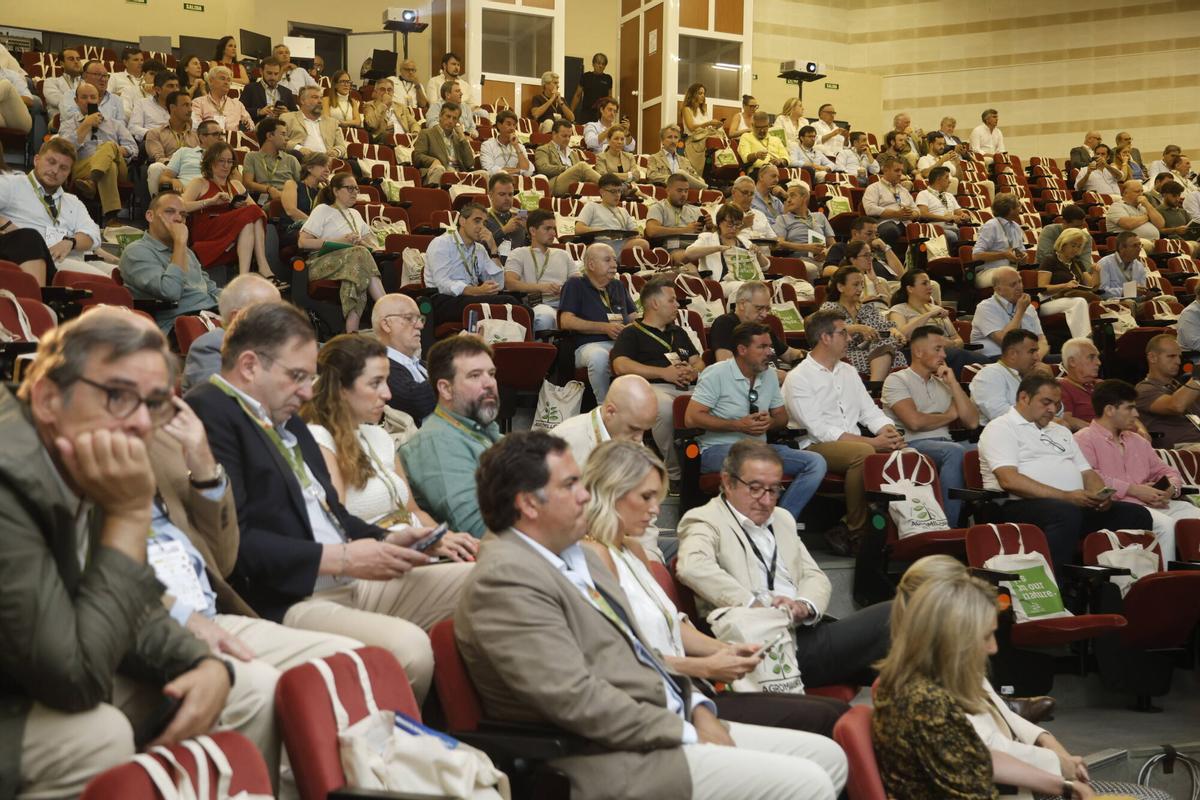 A.J.González Córdoba Congreso Mundolivar