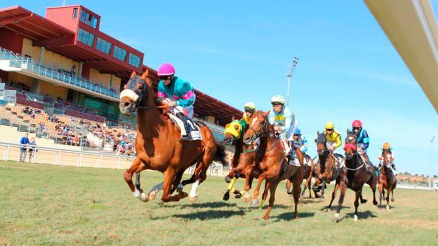 Carreras de caballos en el Gran Hipódromo de Andalucía
