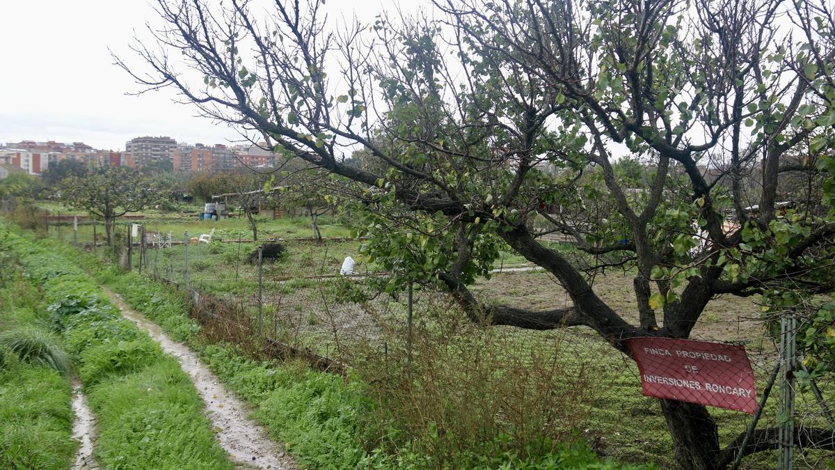Huerto a la zona del barrio del Calderí de Mollet del Vallès