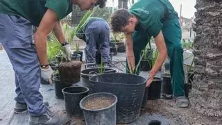 La mitad de los alumnos abandonan la FP básica antes de graduarse en la Comunidad