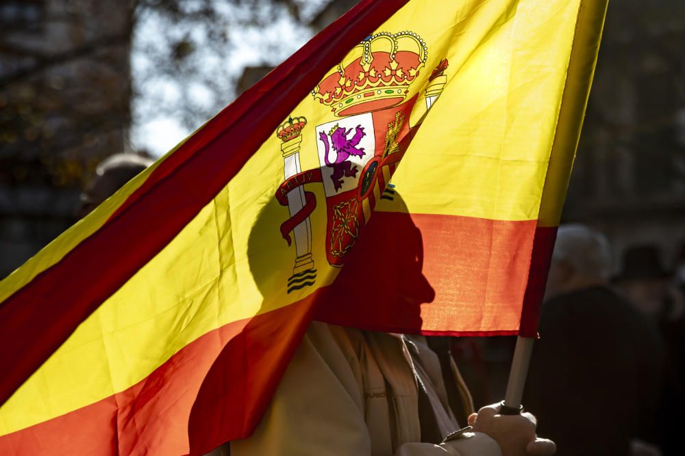 Unas 700 personas se concentran en Palma "por la unidad de España"