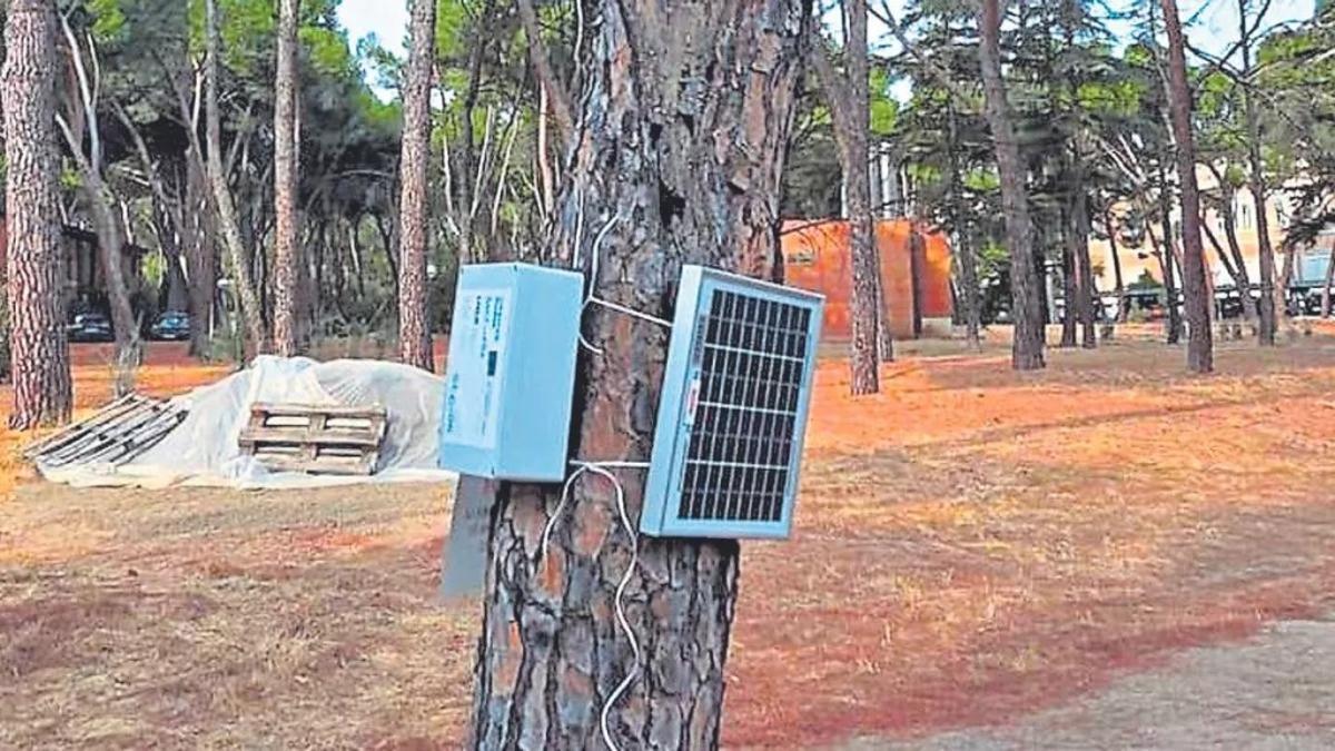 Un sensor para árboles, que avisa de la presencia de humo. Ya se han instalado en distintos municipios extremeños.