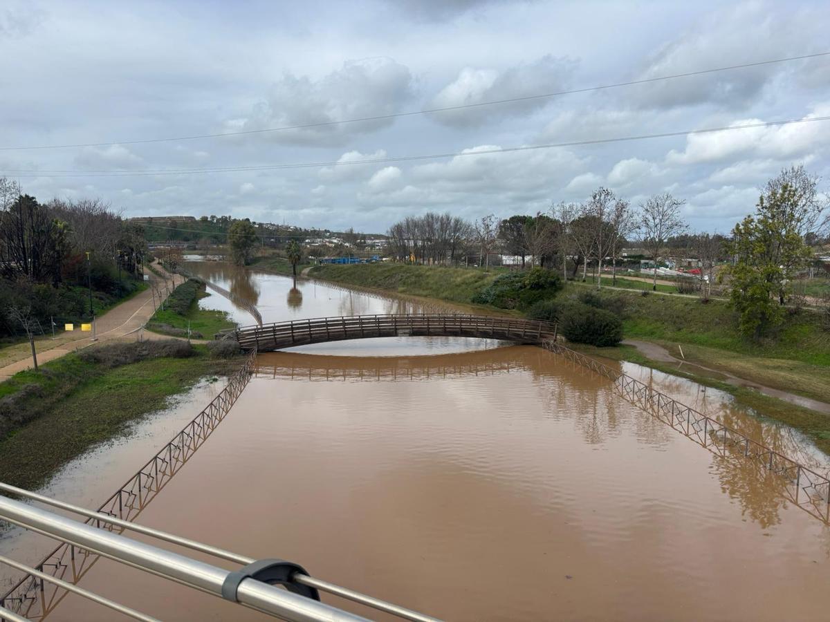 Imagen del Rivillas, este domingo