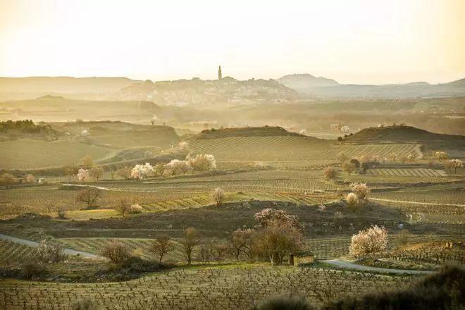 Aromas, paisajes y vinos que reconfortan