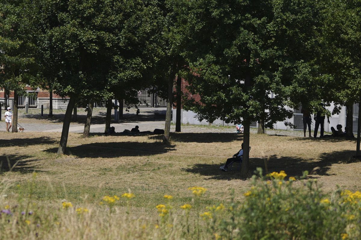 Vecinos de Amberes se refugian del calor bajo las sombras de árboles de un parque de la ciudad belga.