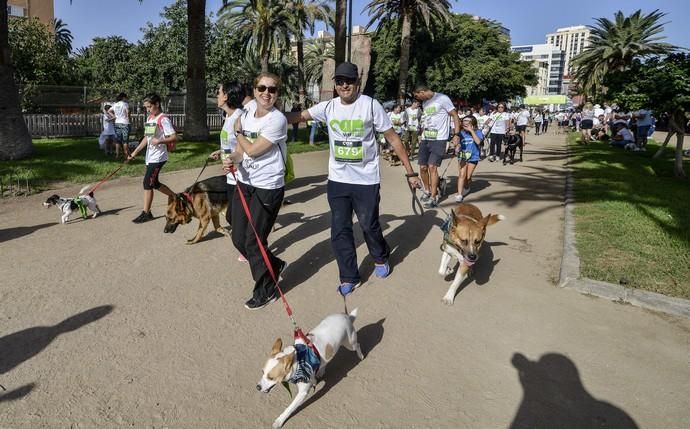 16/12/2018 LAS PALMAS DE GRAN CANARIA. Carrera ...