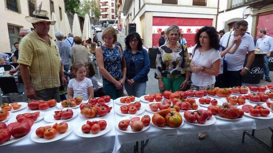 El público admira los tomates presentados al concurso, ayer por la tarde, en Cangas del Narcea.