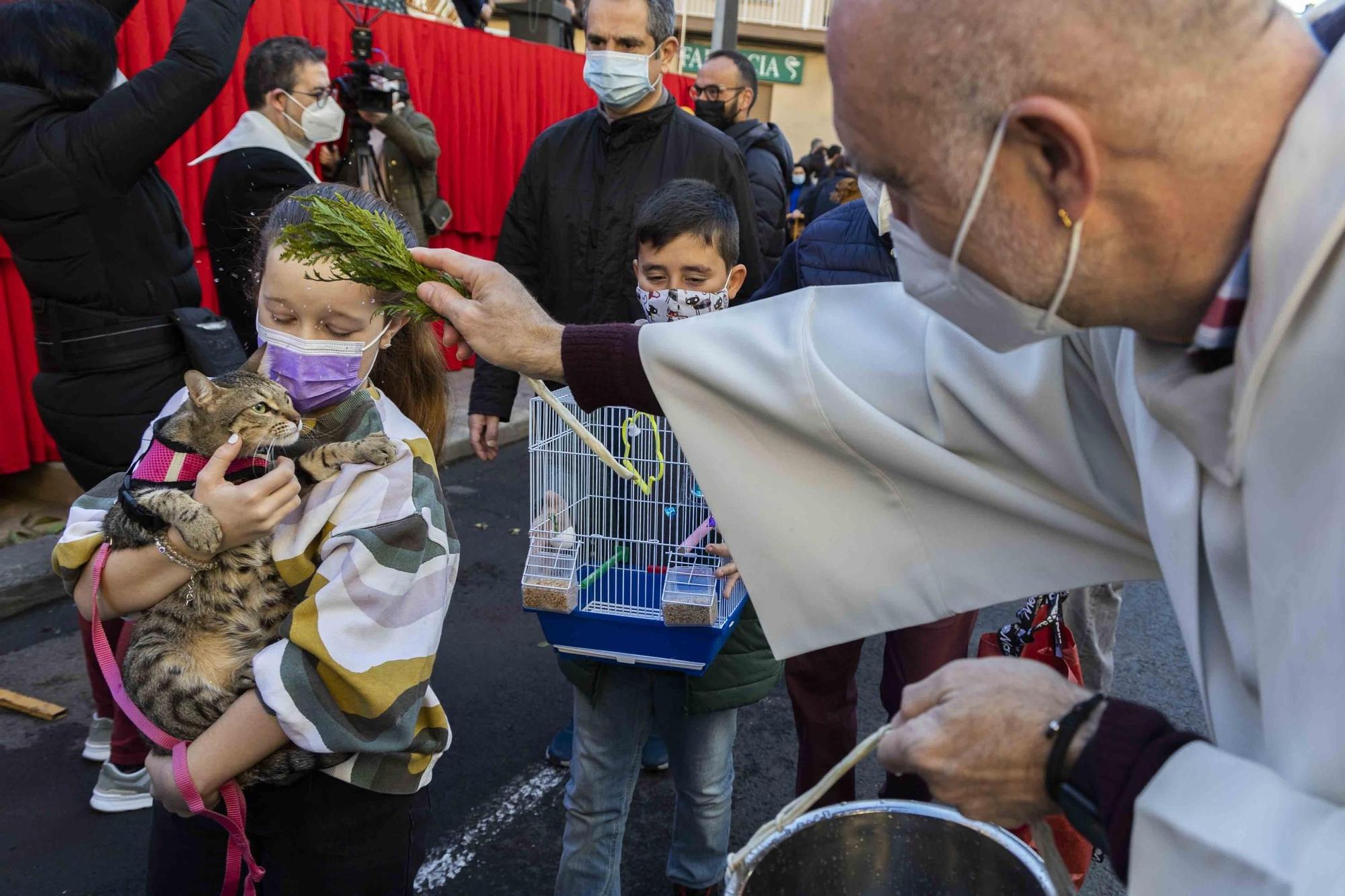 Búscate en la bendición de animales de Sant Antoni