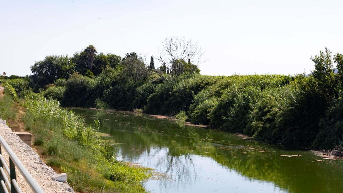 El río Xúquer a su paso por Fortaleny.