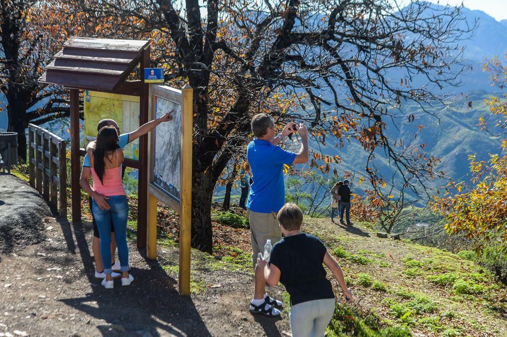 AMBIENTE TURISTAS EN TEJEDA