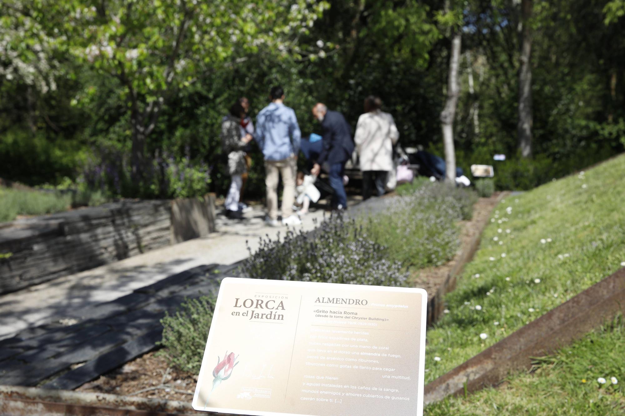 En imágenes: Lorca, protagonista en el 21.º aniversario del Jardín Botánico