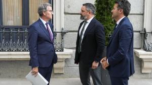 Feijóo y Abascal, charlando en el patio del Congreso.