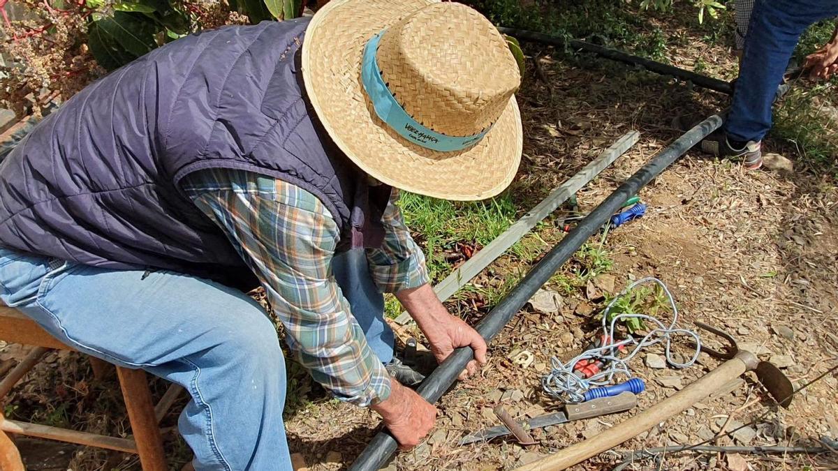 Un labrador revisa el estado de una de las tuberías que le permite mantener productiva su explotación en el litoral axárquico. | L. O.