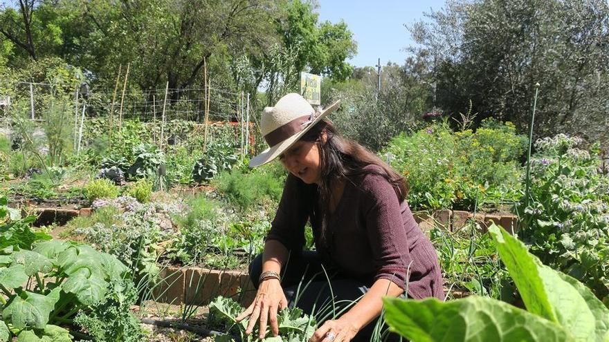 Permiso para ir a la huerta